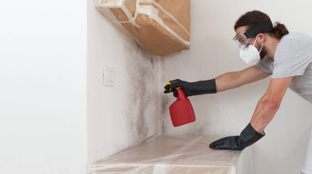 Attic Mold Remediation treatment on roof deck in Grassflat